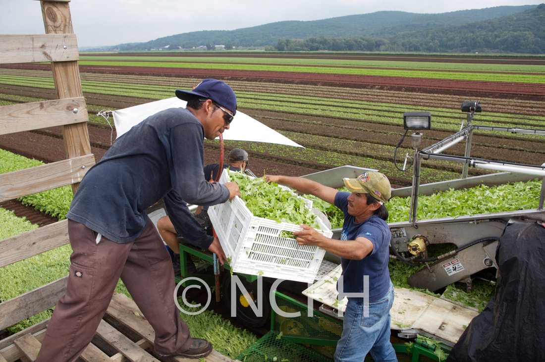 ncfh-partnership-protective-img