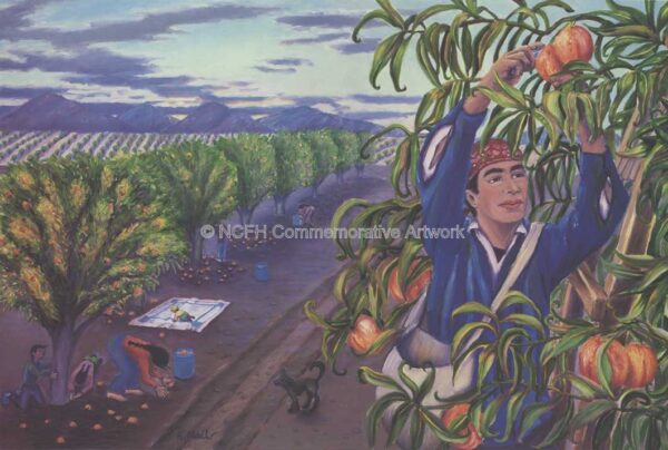 1991 Orchard Harvest