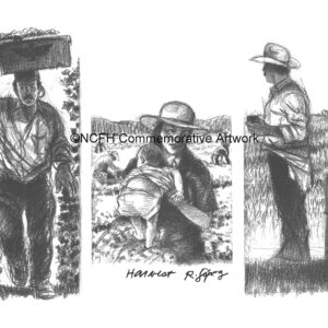 1997 Harvest
