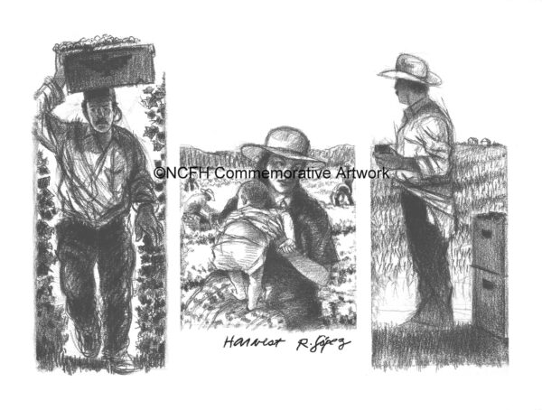 1997 Harvest