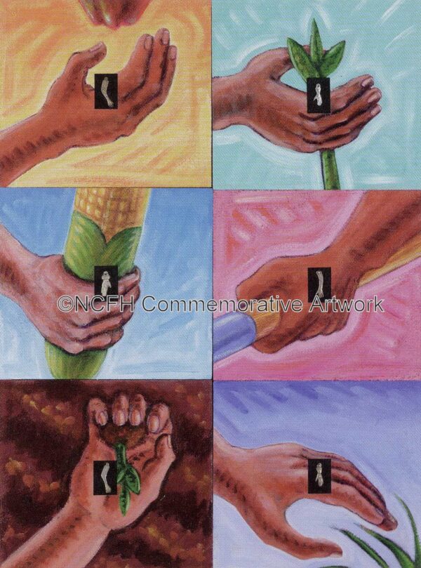 1999 Tending Crops, Healing Spirits