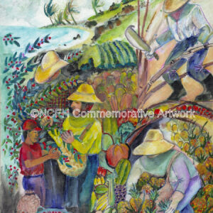 2008 Through the Eyes of Farmworker/La Vista Del Campesino