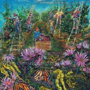 2026 Metamorfosis Campesina